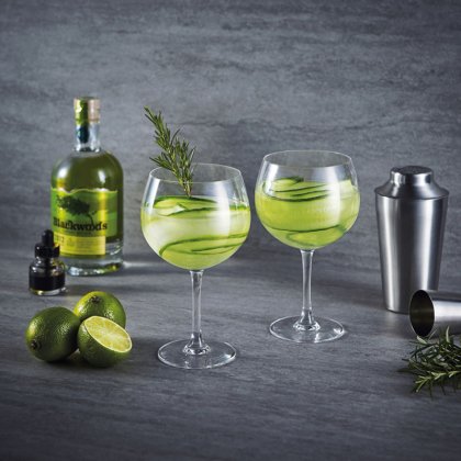 Gin Tonic Gläser