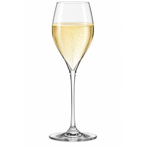 Sontell Universal Champagnergläser 29 cl 6er-Pack
